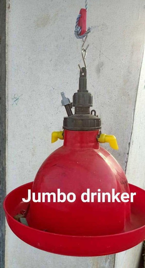 Automatic drinker